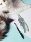 猫指甲剪刀新手血线宠物猫咪小型犬专用剪指甲神器猫爪钳猫咪用品