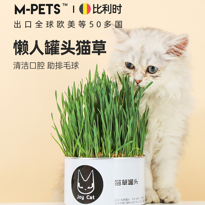 猫草盆栽已种好猫薄荷草懒人猫草种籽化毛猫咪零食猫草罐头小麦草 Mpets